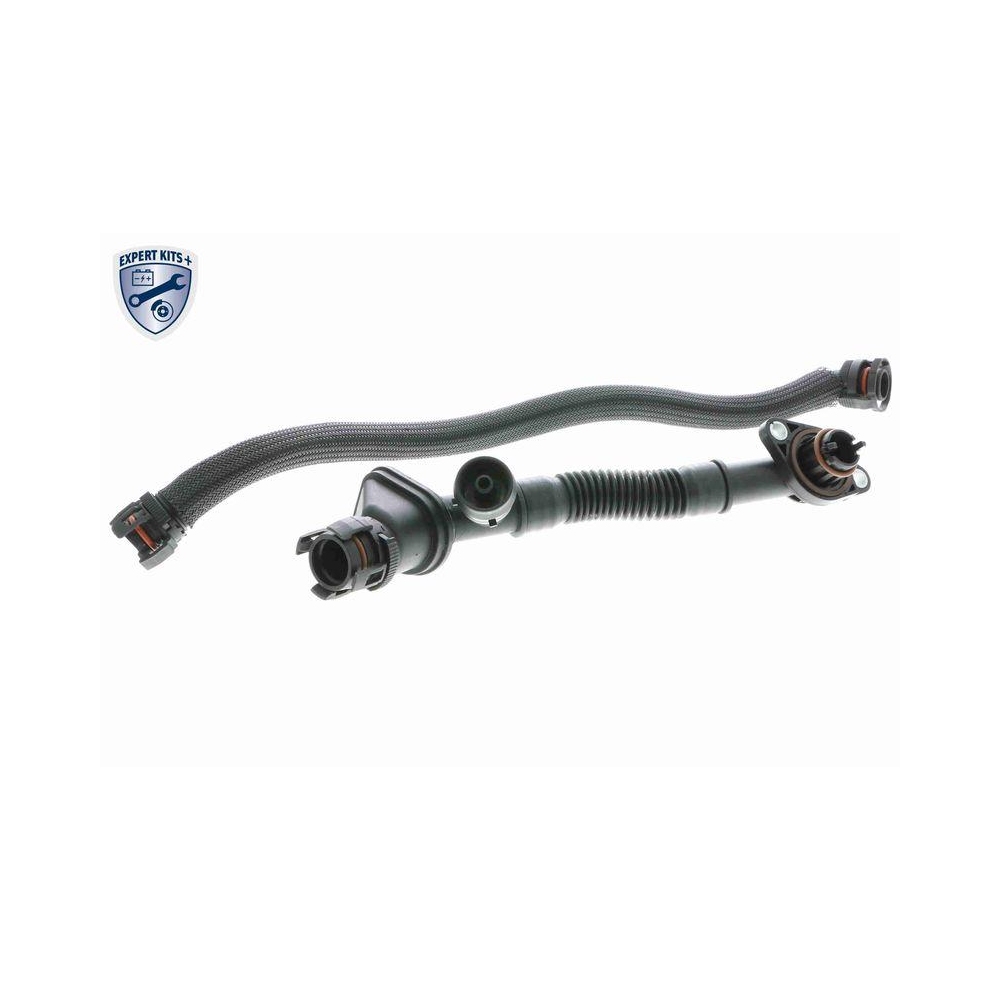 K&uuml;hlerschlauch VAICO V20-3291 EXPERT KITS + f&uuml;r BMW, oben