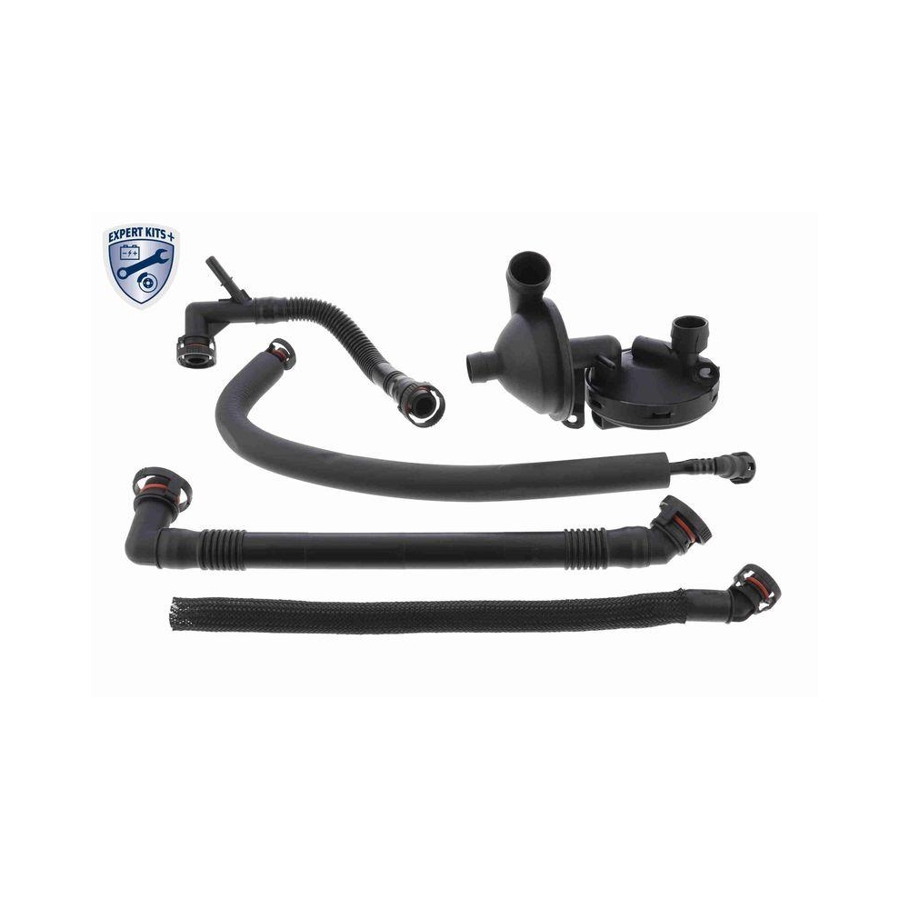 Reparatursatz, Kurbelgeh&auml;useentl&uuml;ftung VAICO V20-1871 EXPERT KITS + f&uuml;r BMW