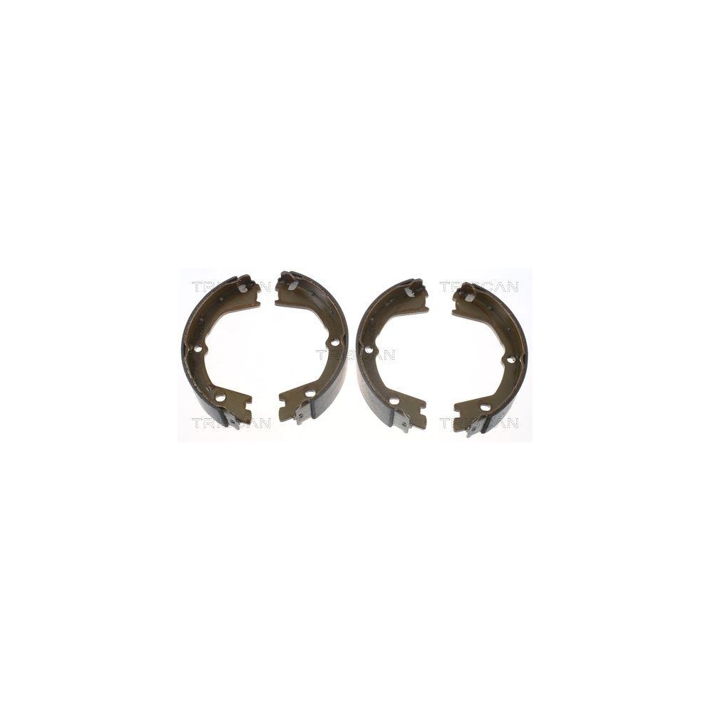 Bremsbackensatz, Feststellbremse TRISCAN 8100 15019 f&uuml;r IVECO, Hinterachse