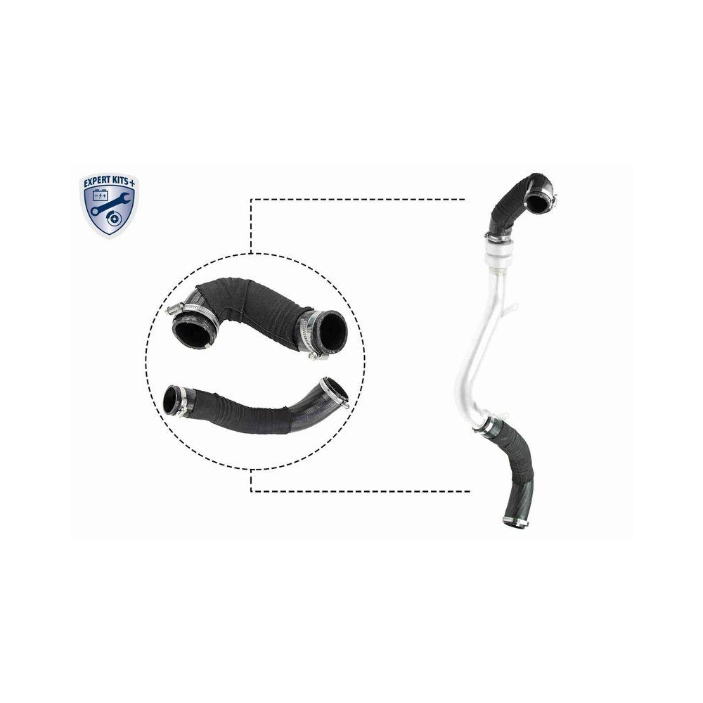 Ladeluftschlauch VAICO V25-1922 EXPERT KITS + für FORD, links, unten, vorne