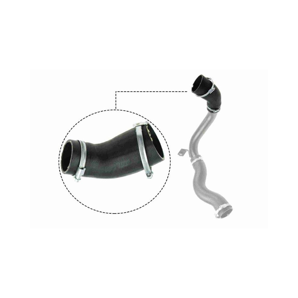 Ladeluftschlauch VAICO V25-1029 Q+, Erstausrüsterqualität für FORD, rechts