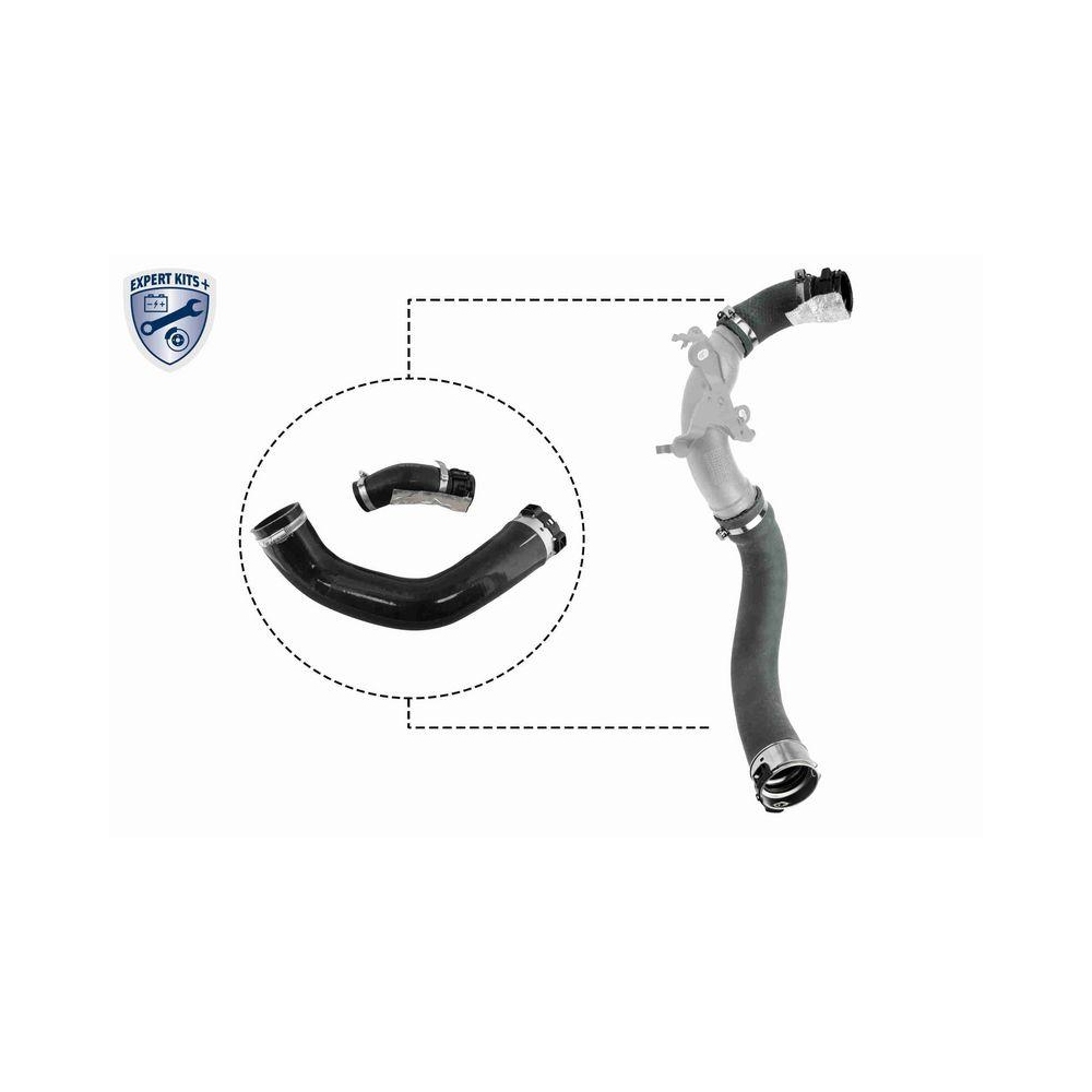 Ladeluftschlauch VAICO V46-1025 EXPERT KITS + für SEAT DACIA