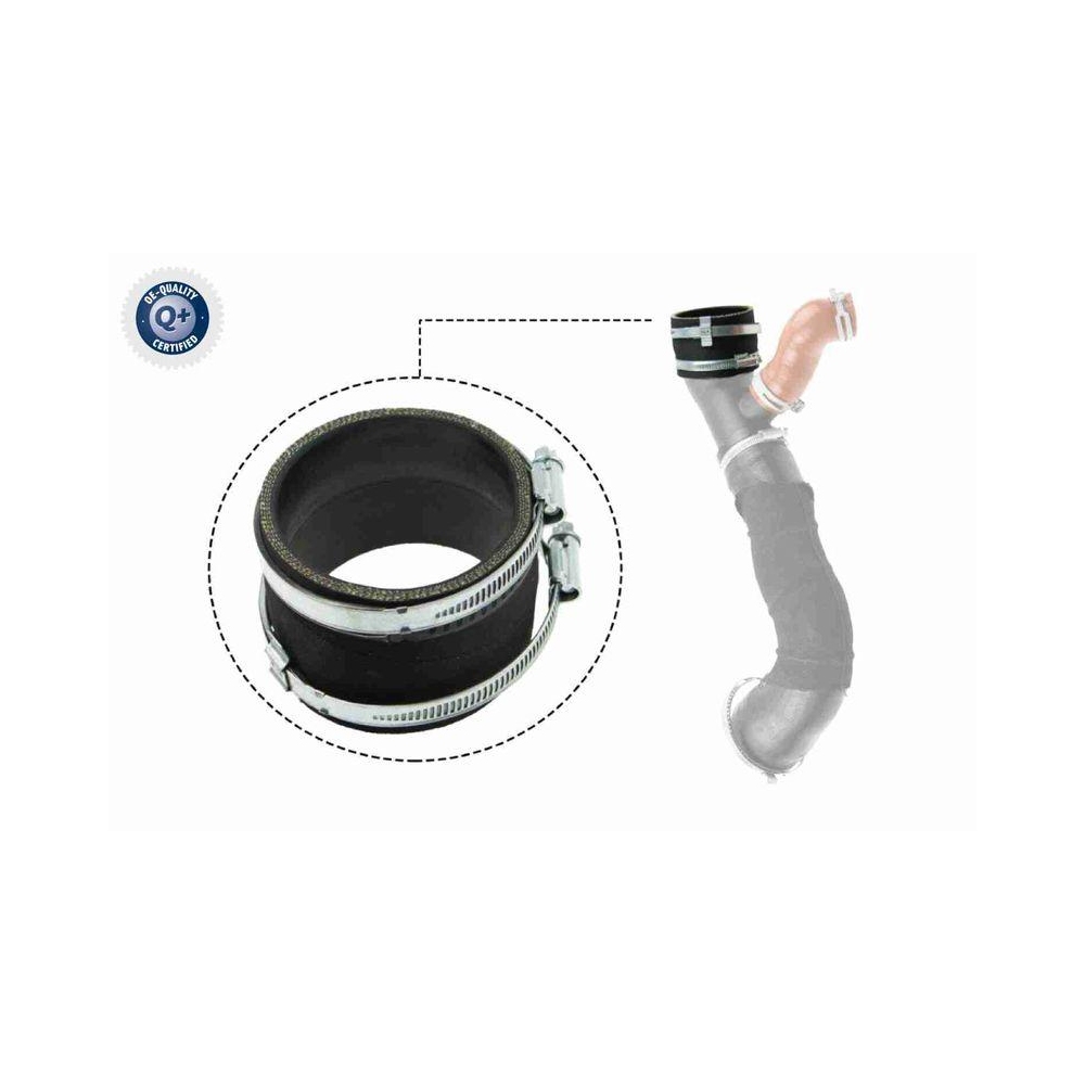 Ladeluftschlauch VAICO V25-1031 Q+, Erstausrüsterqualität für FORD, rechts