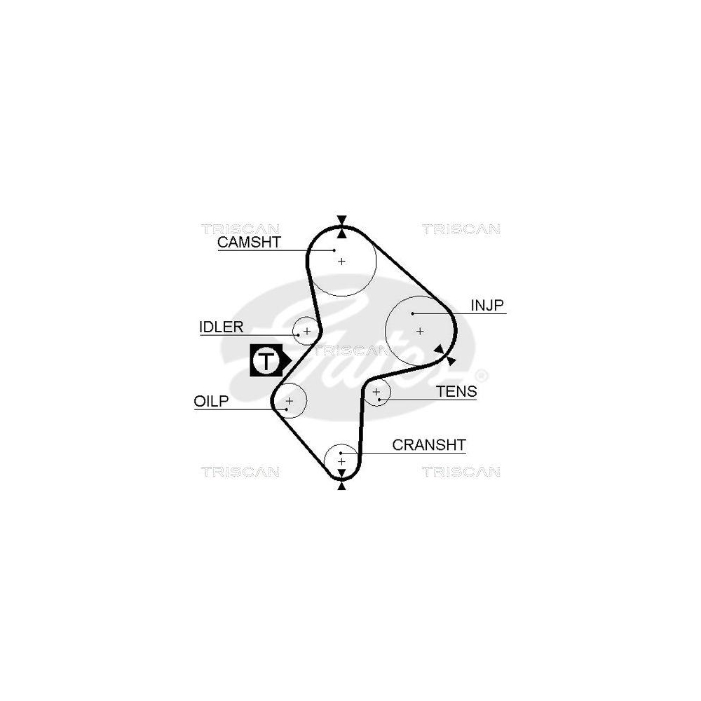 Zahnriemen TRISCAN 8645 5485XS f&uuml;r DANA