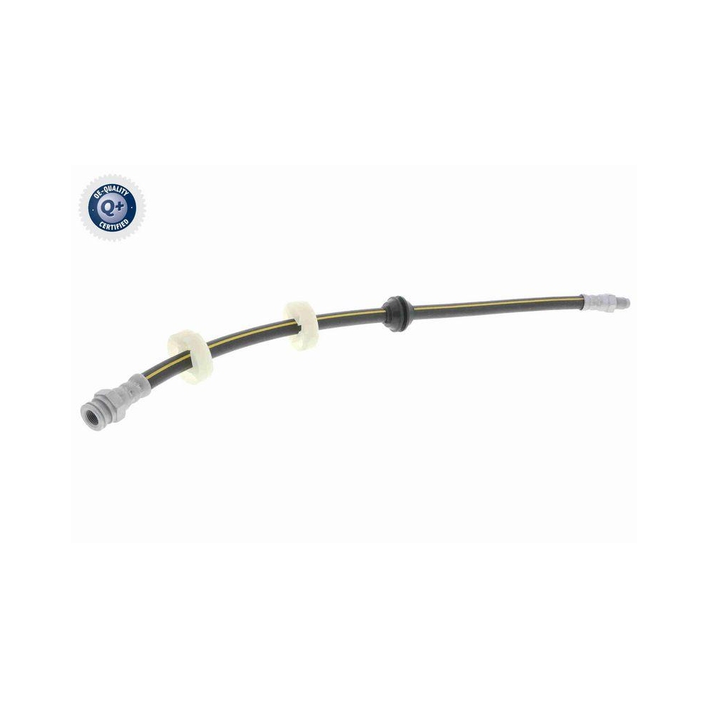 Bremsschlauch VAICO V24-0081 Q+, Erstausrüsterqualität für FIAT LANCIA