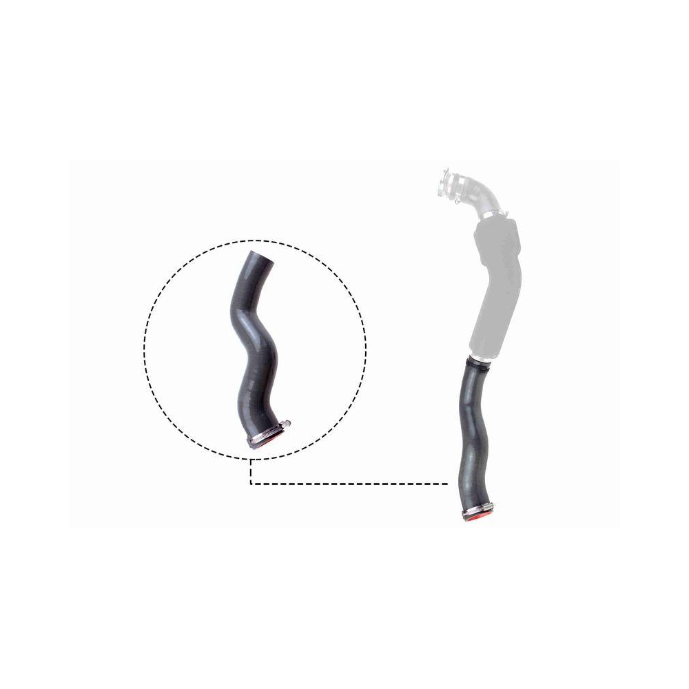 Ladeluftschlauch VAICO V46-1032 Q+, Erstausrüsterqualität für RENAULT