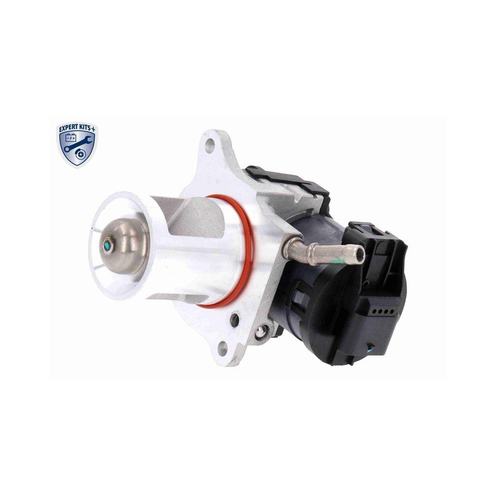AGR-Ventil VEMO V30-63-0031 EXPERT KITS + f&uuml;r MERCEDES-BENZ