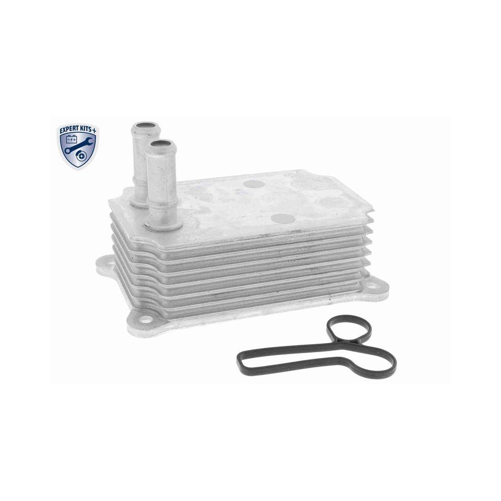 &Ouml;lk&uuml;hler, Motor&ouml;l VEMO V25-60-0033 EXPERT KITS + f&uuml;r FORD LAND ROVER