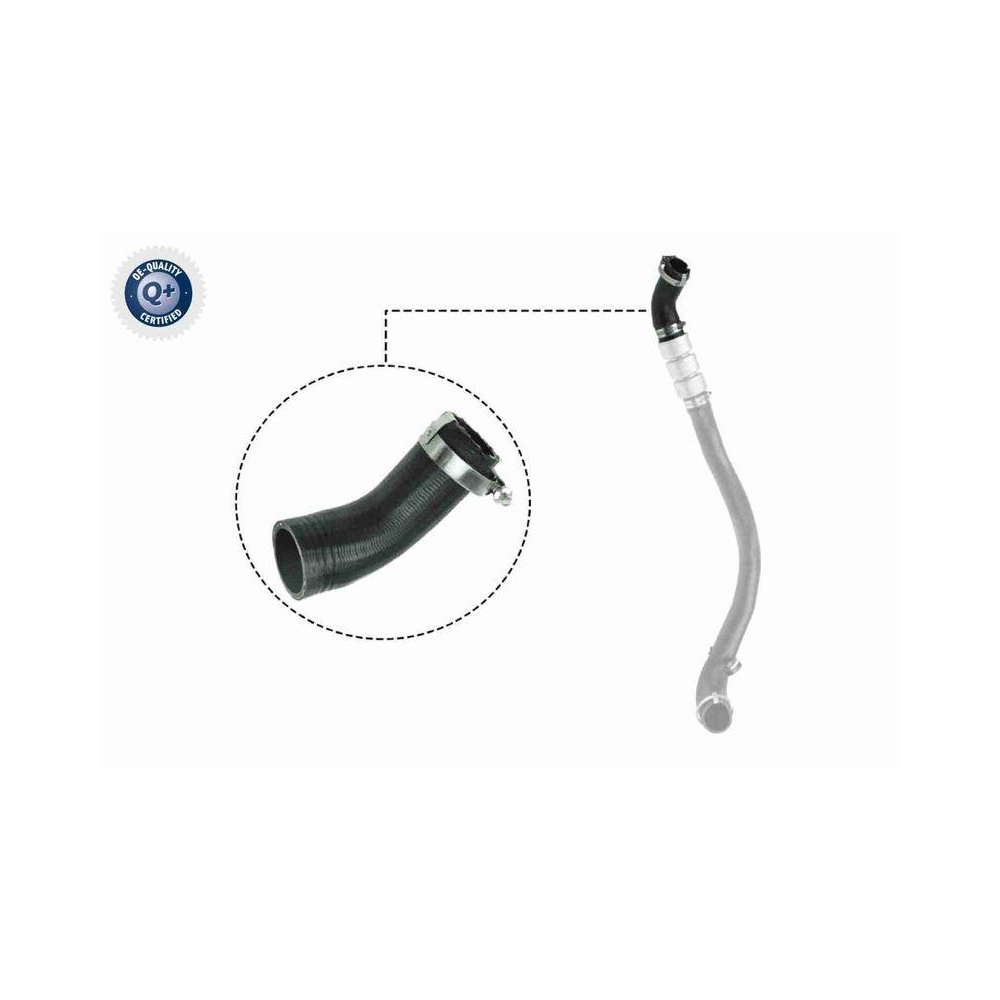 Ladeluftschlauch VAICO V25-1037 Q+, Erstausr&uuml;sterqualit&auml;t f&uuml;r FORD