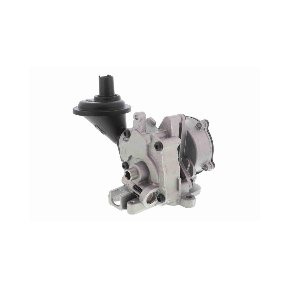 VAICO V10-8003 &Ouml;lpumpe Original VAICO Qualit&auml;t f&uuml;r AUDI