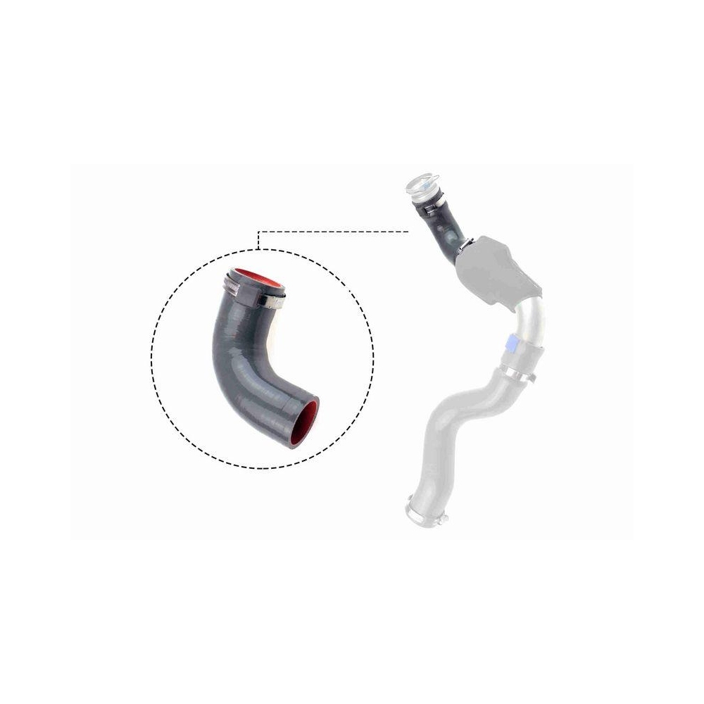 Ladeluftschlauch VAICO V46-1035 Q+, Erstausrüsterqualität für RENAULT