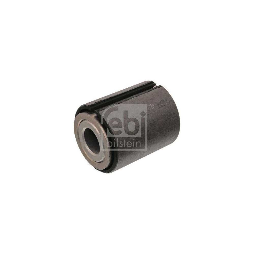 Lager, Federauge FEBI BILSTEIN 10057 für MERCEDES-BENZ, Hinterachse