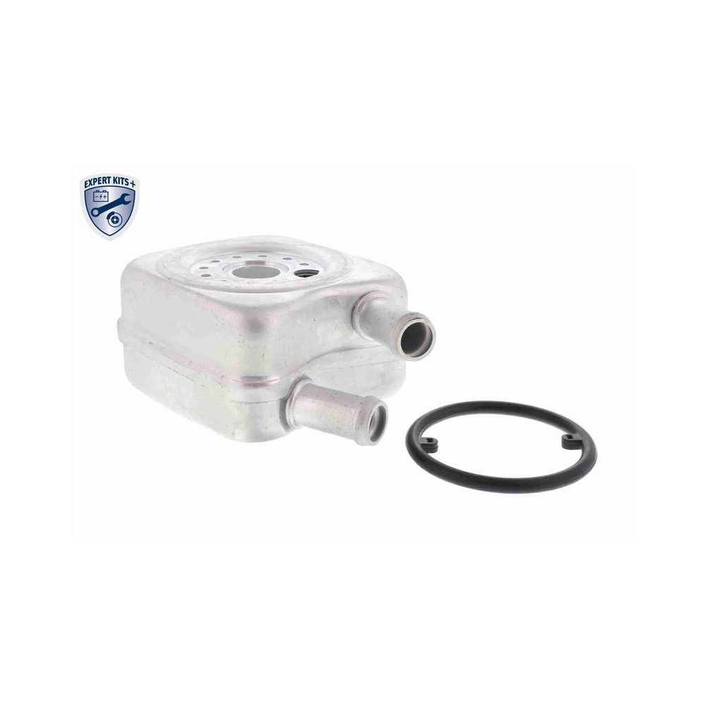 Ölkühler, Motoröl VEMO V15-60-6010 EXPERT KITS + für AUDI FORD MERCEDES-BENZ VW