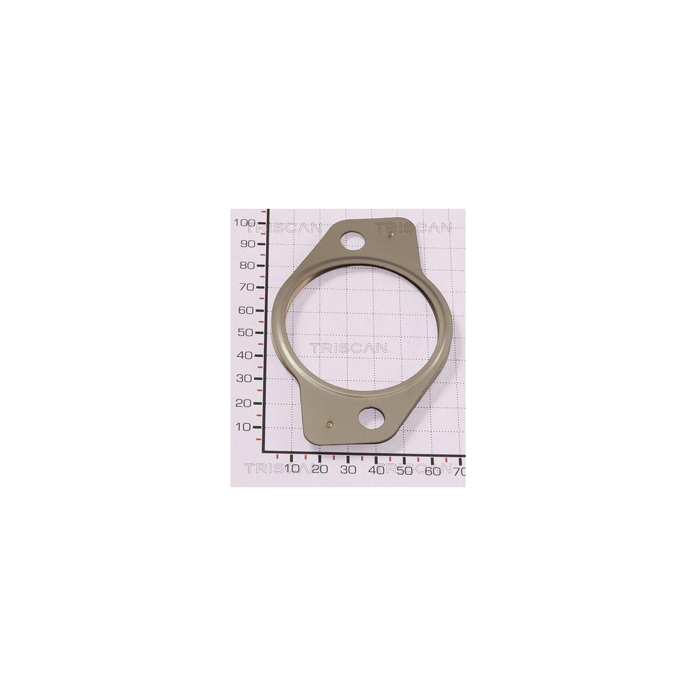 Dichtung TRISCAN 8813 99193 für CITROËN FIAT