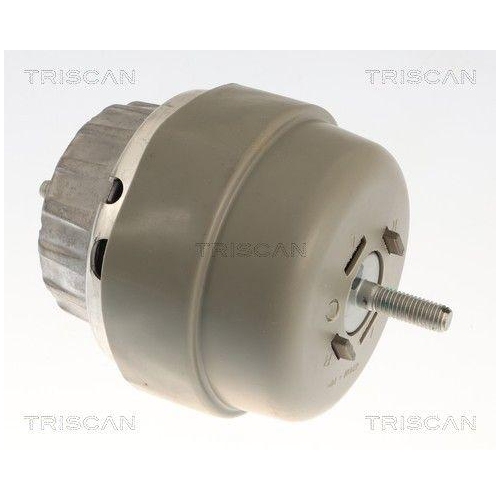 TRISCAN 8505 291001 Lagerung, Motor f&uuml;r AUDI, rechts, vorne