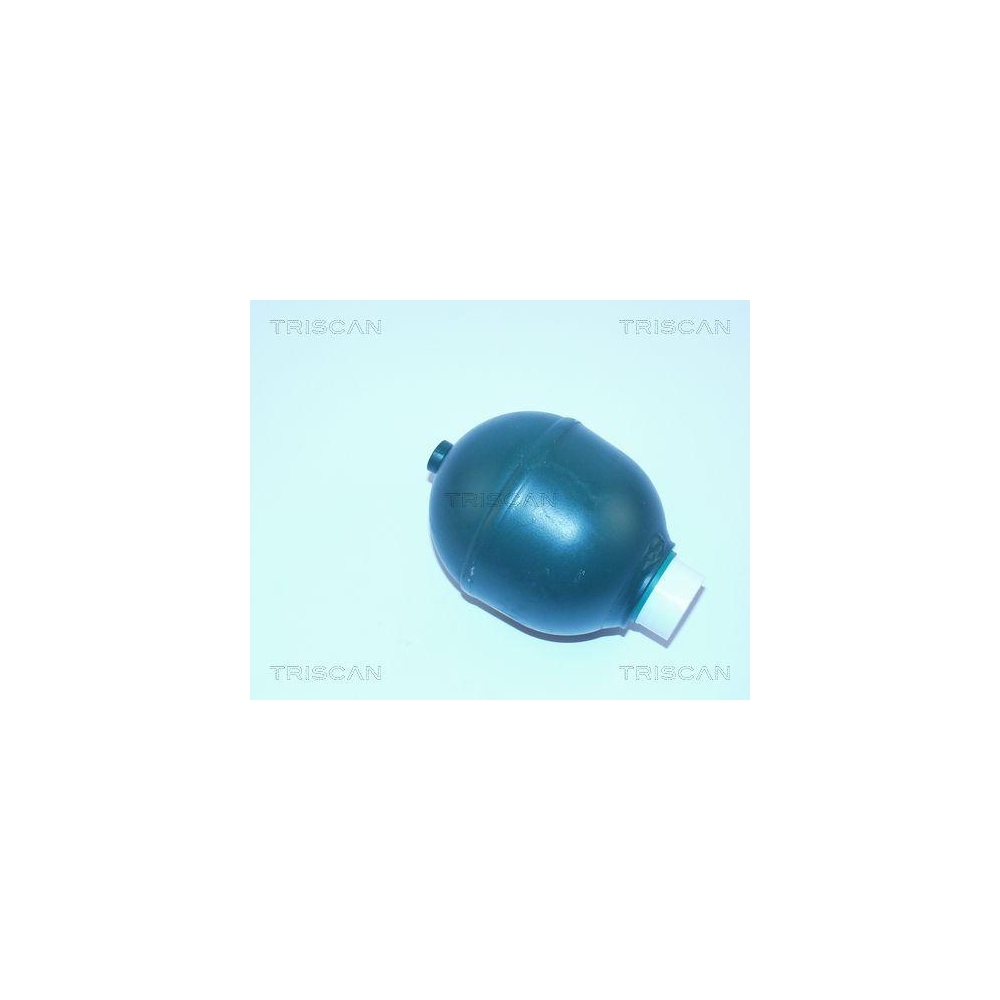 Druckspeicher, Federung/D&auml;mpfung TRISCAN 8760 38212 f&uuml;r, Hinterachse