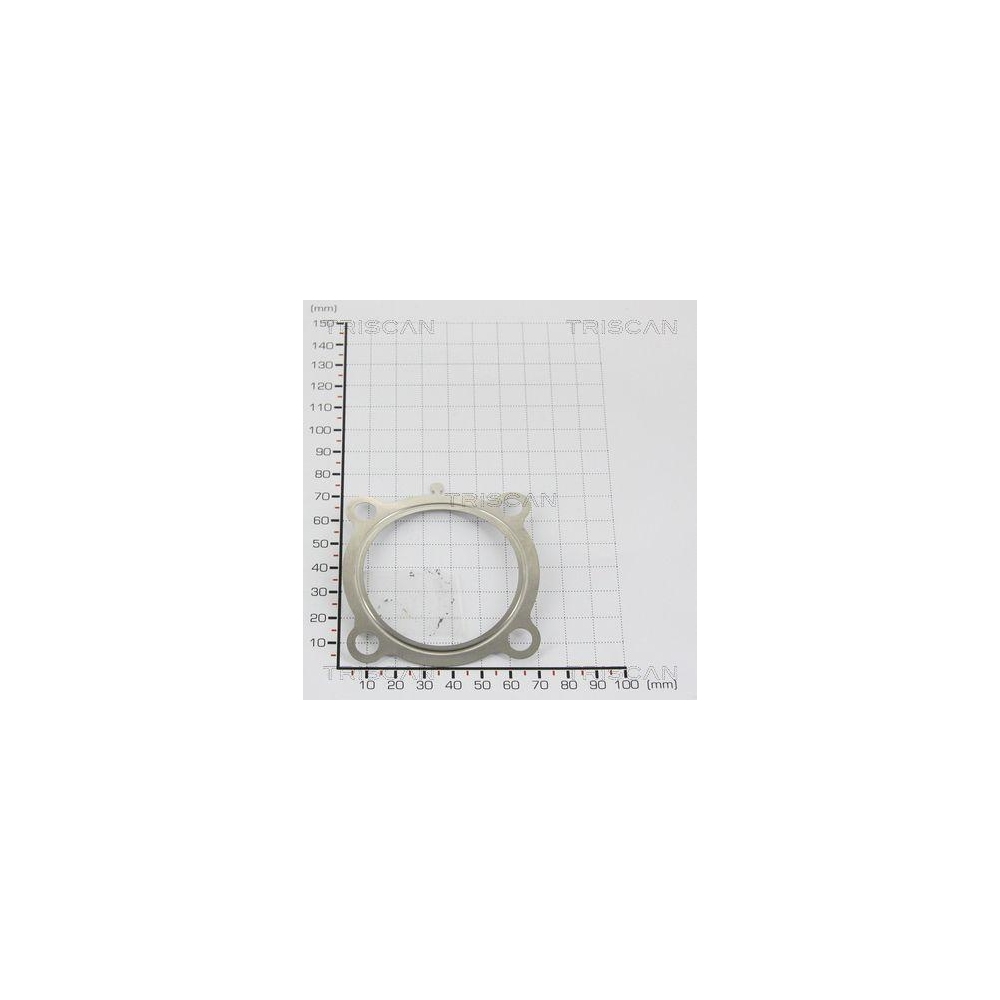 Dichtung TRISCAN 8813 9989 für VOLVO