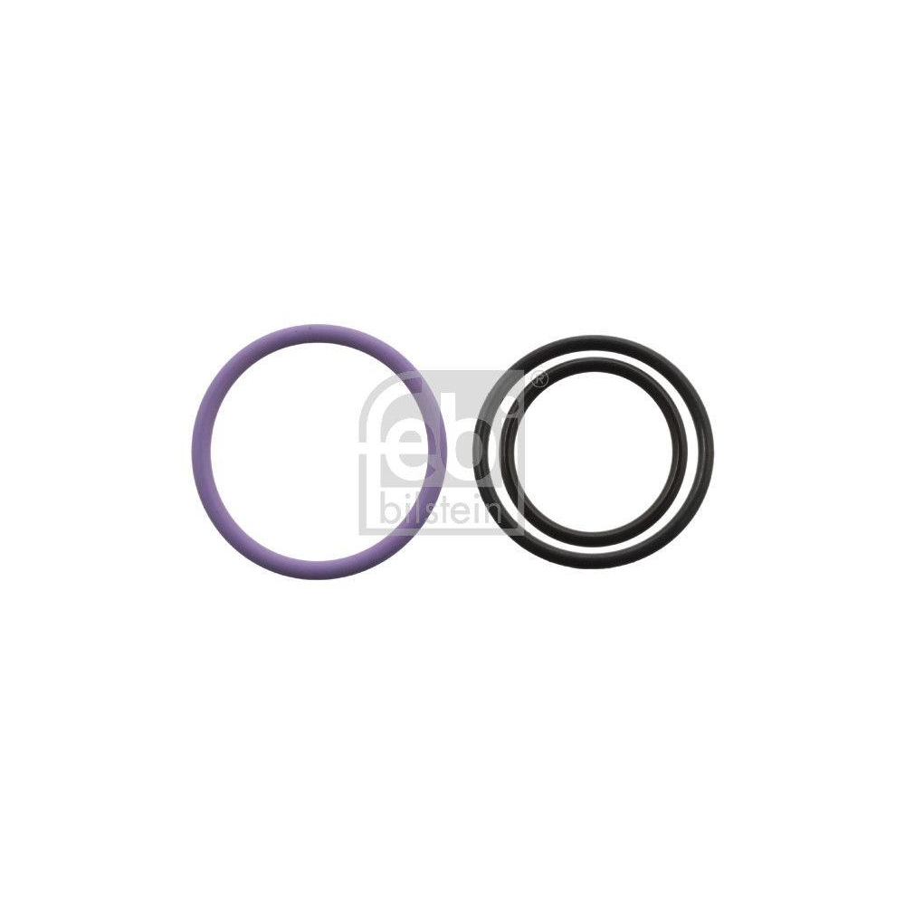 FEBI BILSTEIN Dichtungssatz, Einspritzd&uuml;se 103743 f&uuml;r SCANIA