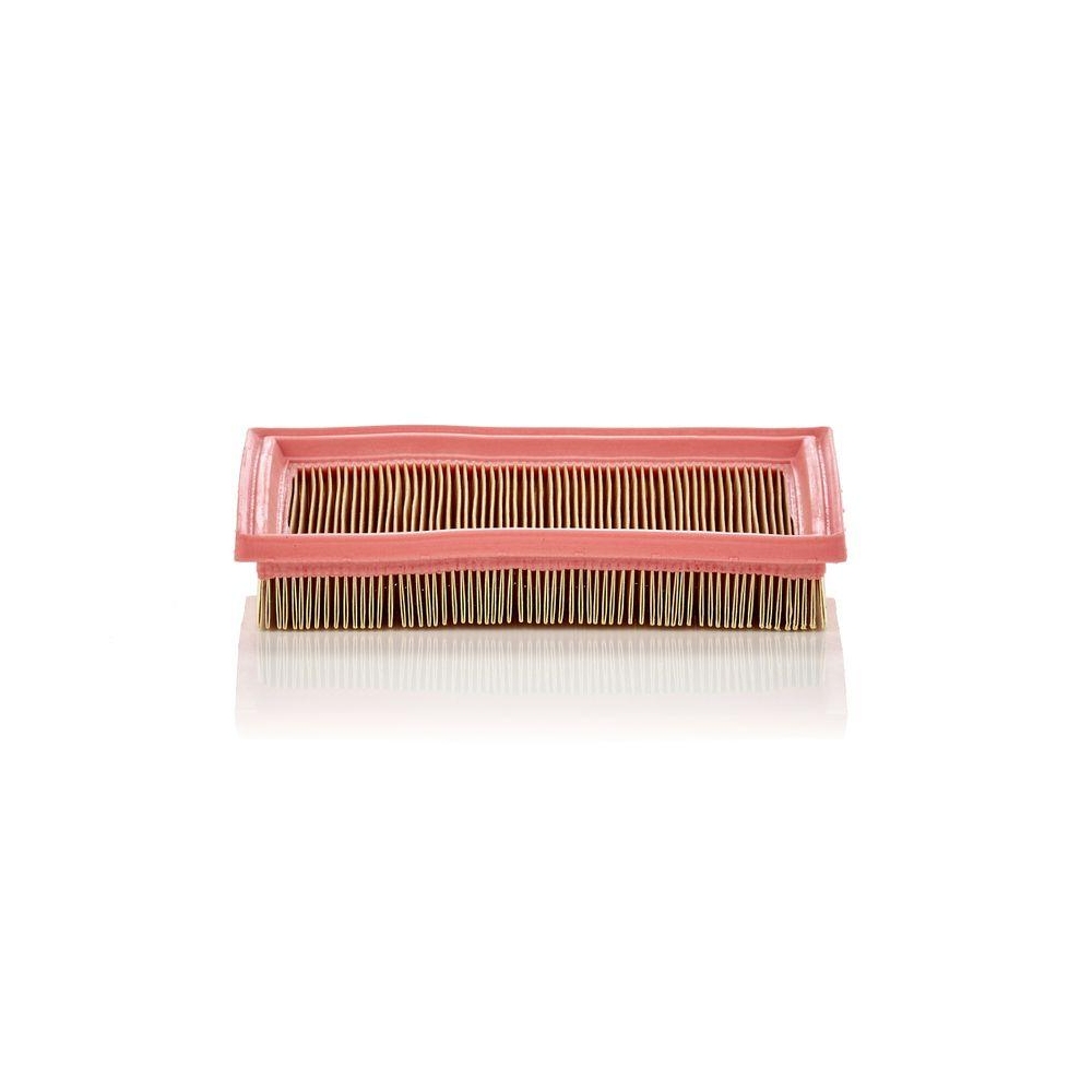 Luftfilter MANN-FILTER C 2244 für FORD MAZDA