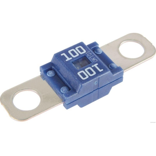 HERTH+BUSS ELPARTS 50295837 Sicherung f&uuml;r