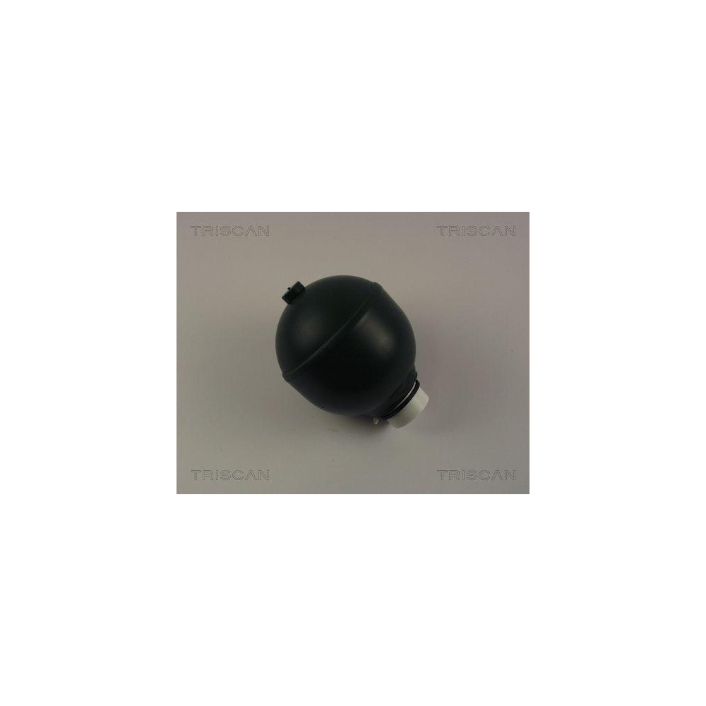 Druckspeicher, Federung/D&auml;mpfung TRISCAN 8760 38219 f&uuml;r, Hinterachse