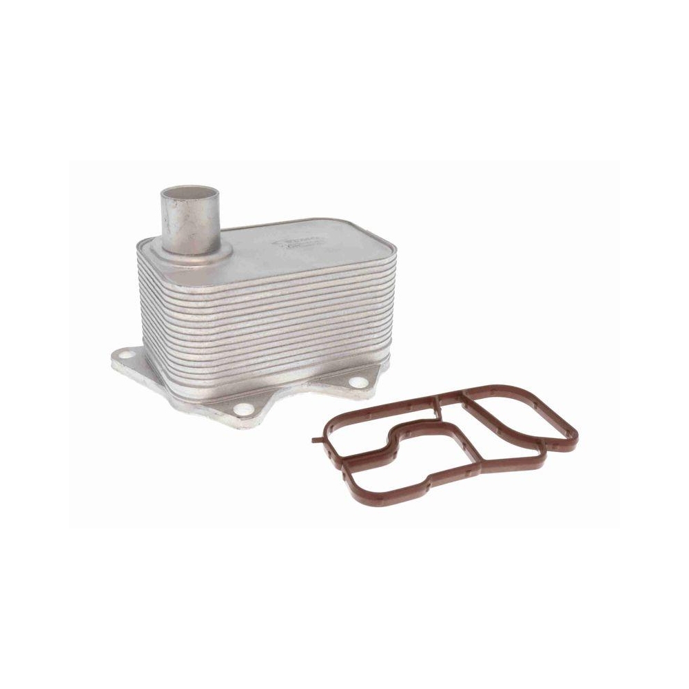 &Ouml;lk&uuml;hler, Motor&ouml;l VEMO V15-60-6020 Green Mobility Parts f&uuml;r AUDI SEAT SKODA VW