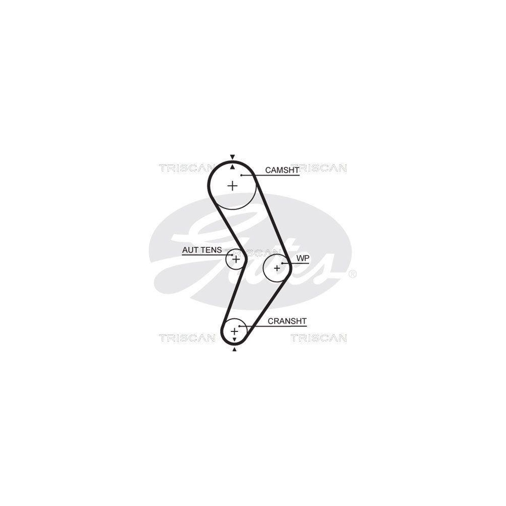Zahnriemen TRISCAN 8645 5662xs f&uuml;r LADA NISSAN RENAULT DACIA