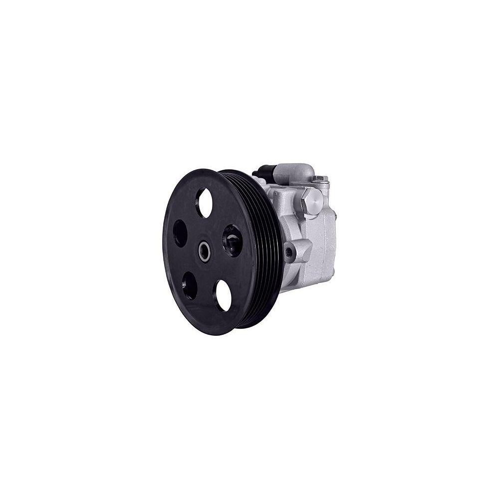 HELLA Hydraulikpumpe, Lenkung 8TL 359 003-111 für AUDI