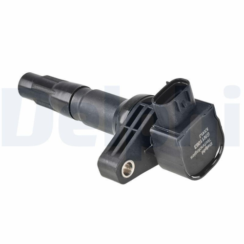 DELPHI GN11063-12B1 Z&uuml;ndspule f&uuml;r BYD