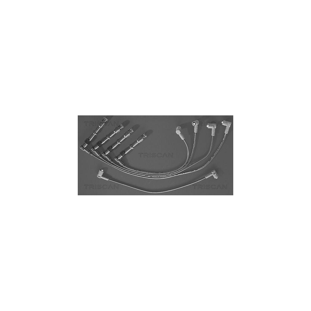 Z&uuml;ndleitungssatz TRISCAN 8860 4154 f&uuml;r
