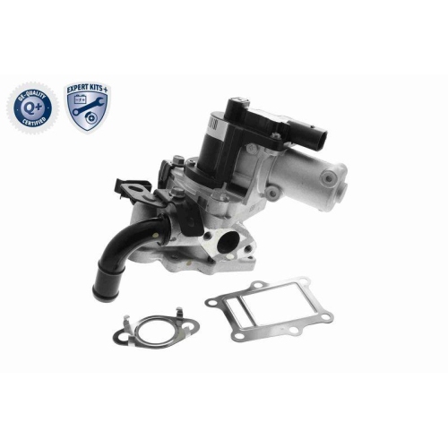 ACKOJA A52-63-0013 AGR-Ventil EXPERT KITS + f&uuml;r HYUNDAI KIA