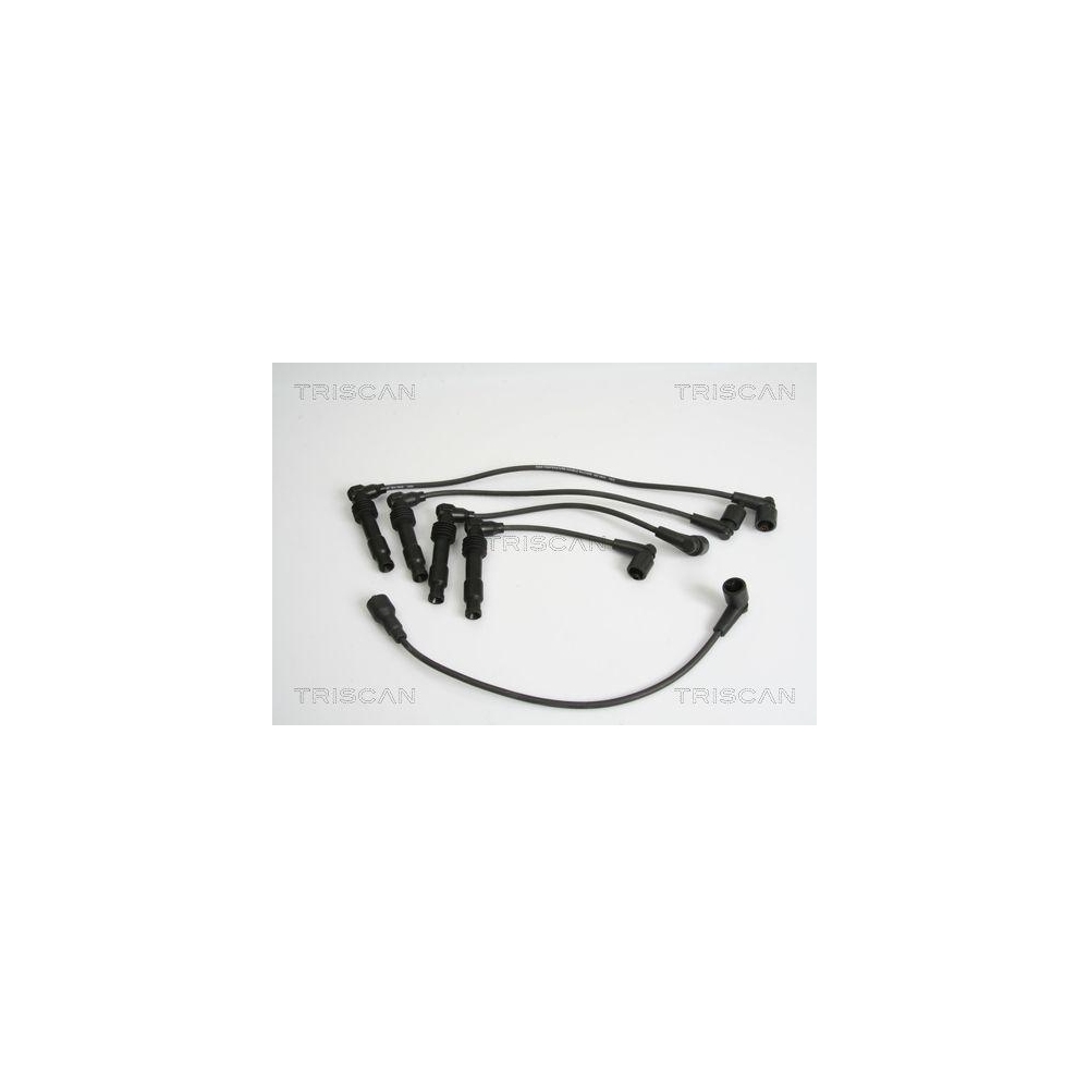 Z&uuml;ndleitungssatz TRISCAN 8860 4156 f&uuml;r