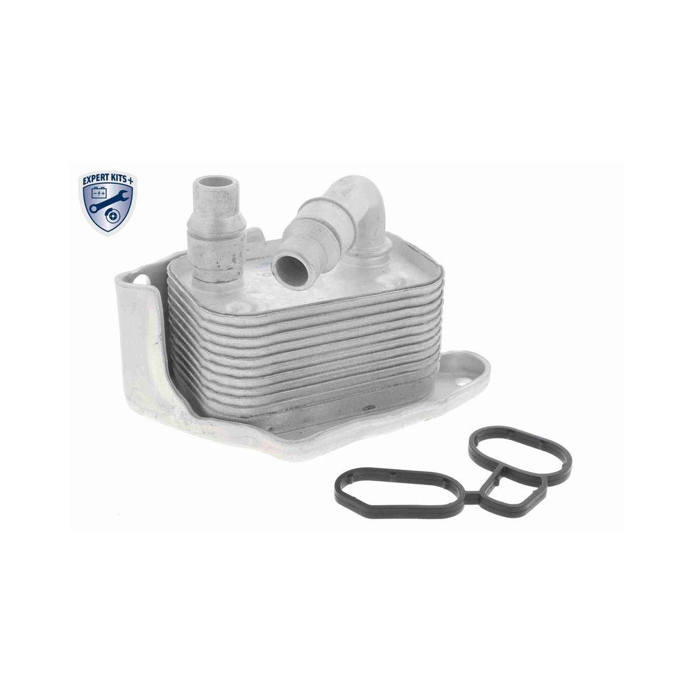 &Ouml;lk&uuml;hler, Motor&ouml;l VEMO V20-60-0031 EXPERT KITS + f&uuml;r BMW