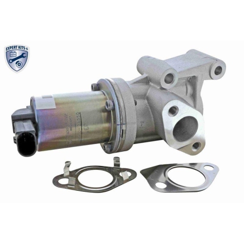 ACKOJA A52-63-0020 AGR-Ventil EXPERT KITS + f&uuml;r HYUNDAI KIA