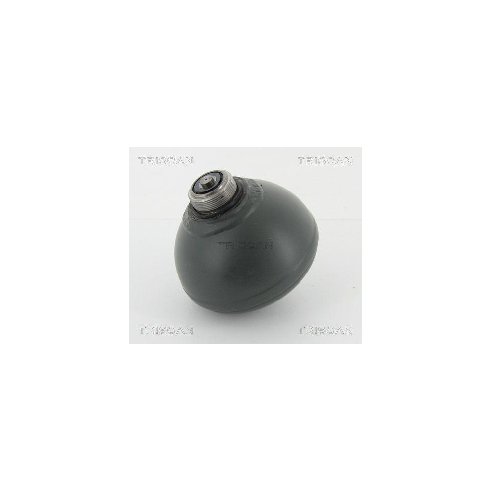 Druckspeicher, Federung/D&auml;mpfung TRISCAN 8760 38228 f&uuml;r, Hinterachse