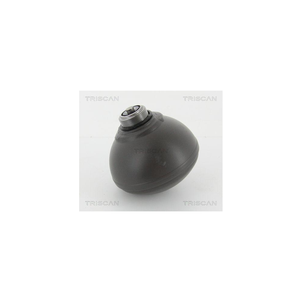 Druckspeicher, Federung/D&auml;mpfung TRISCAN 8760 38229 f&uuml;r, Hinterachse