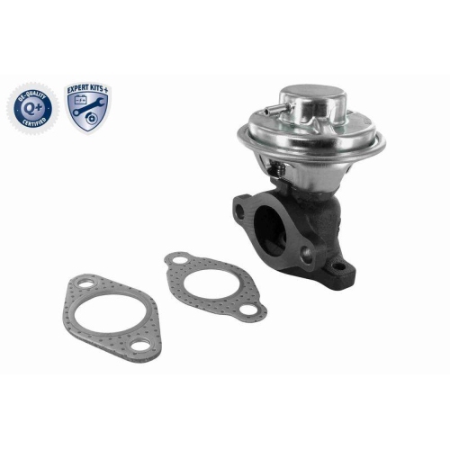 ACKOJA A53-63-0002 AGR-Ventil EXPERT KITS + f&uuml;r KIA