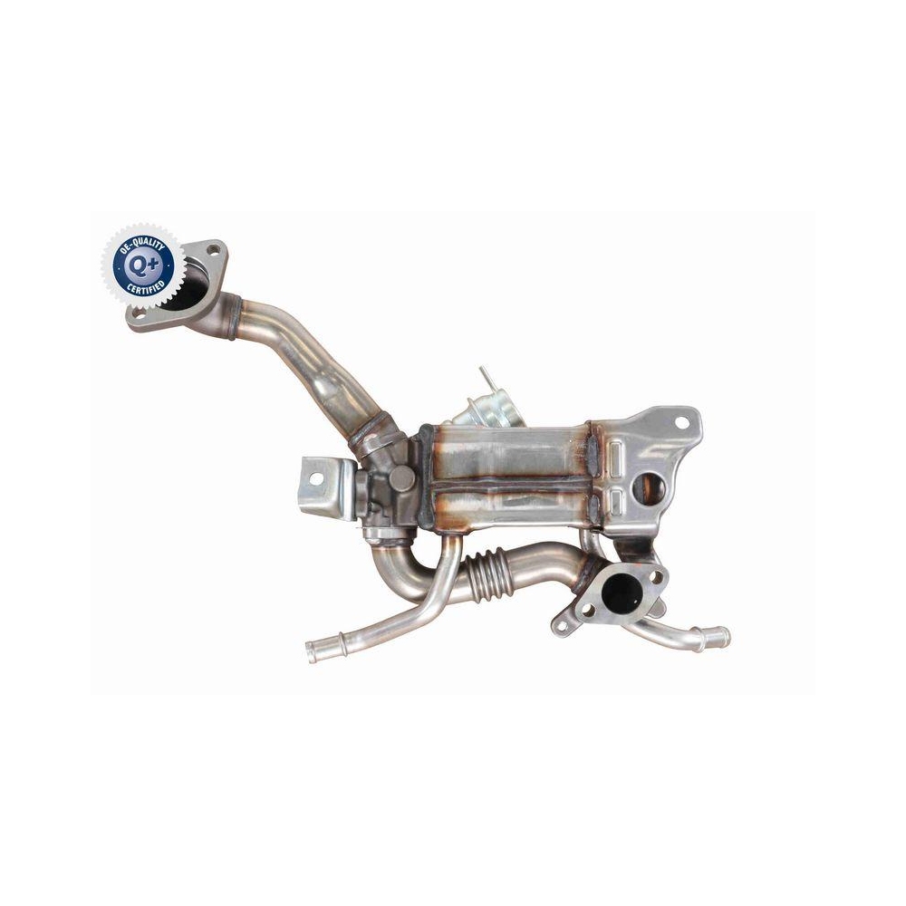 K&uuml;hler, Abgasr&uuml;ckf&uuml;hrung VEMO V40-63-0065 Q+, Erstausr&uuml;sterqualit&auml;t f&uuml;r OPEL