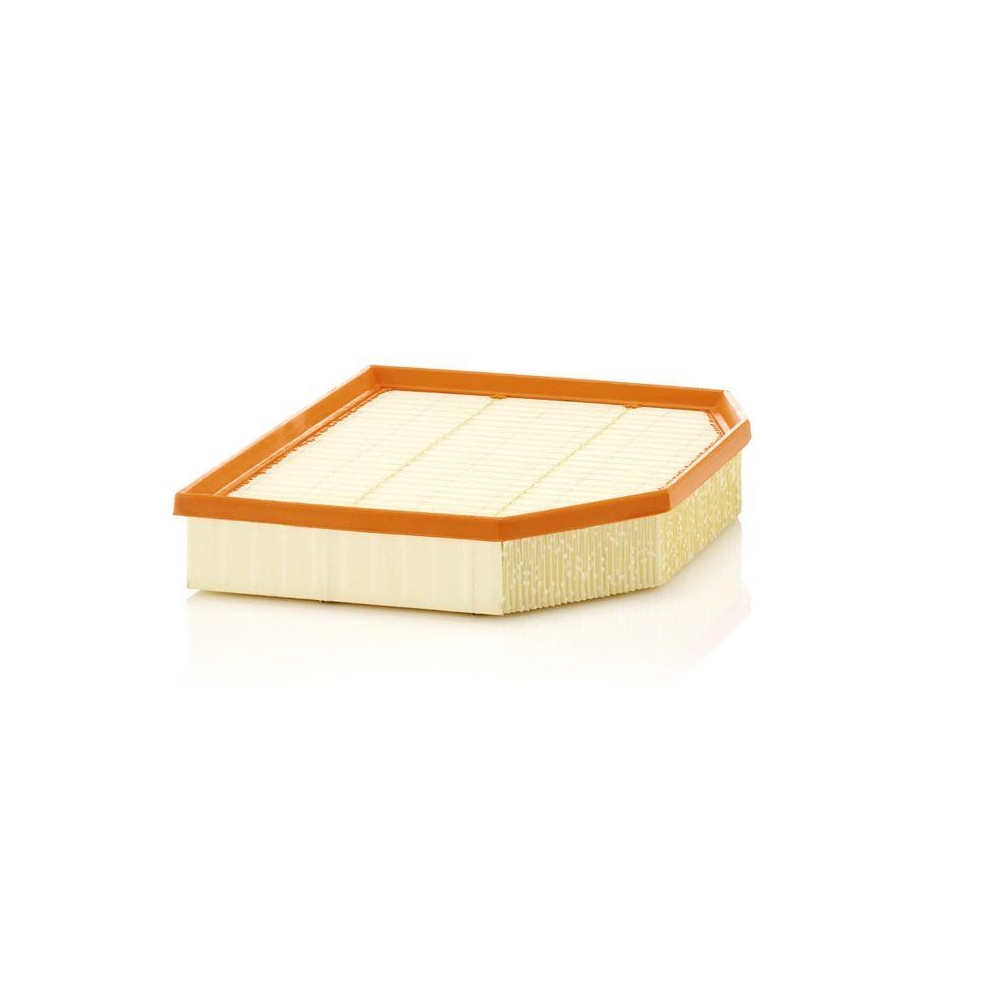 Luftfilter MANN-FILTER C 29 132 f&uuml;r BMW