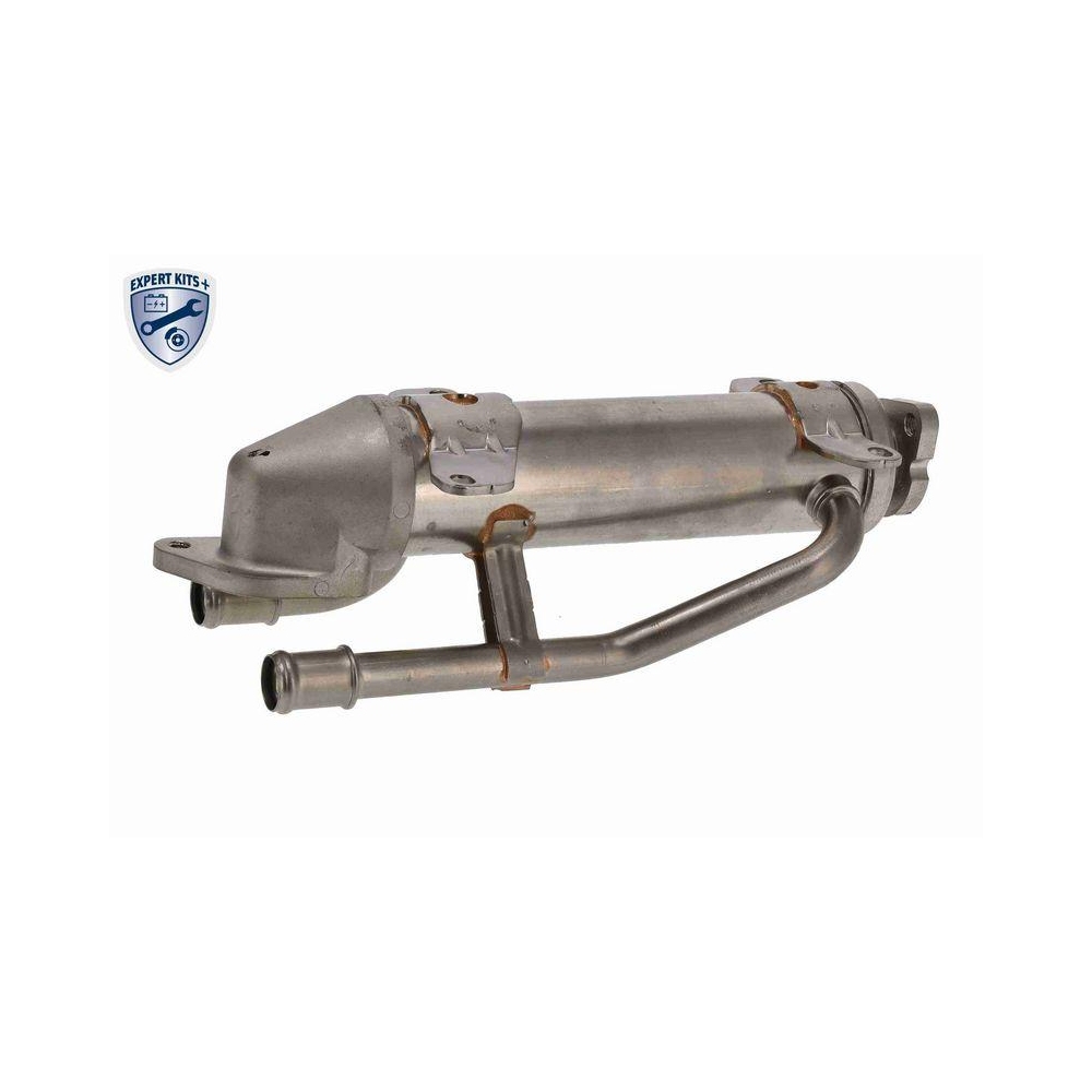 Kühler, Abgasrückführung VEMO V10-63-0115 EXPERT KITS + für SEAT VW