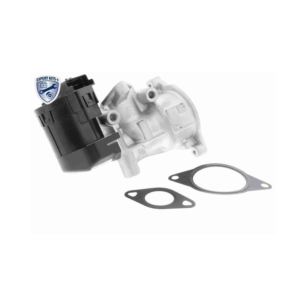AGR-Ventil VEMO V25-63-0010 EXPERT KITS + für CITROËN FIAT FORD LANCIA PEUGEOT