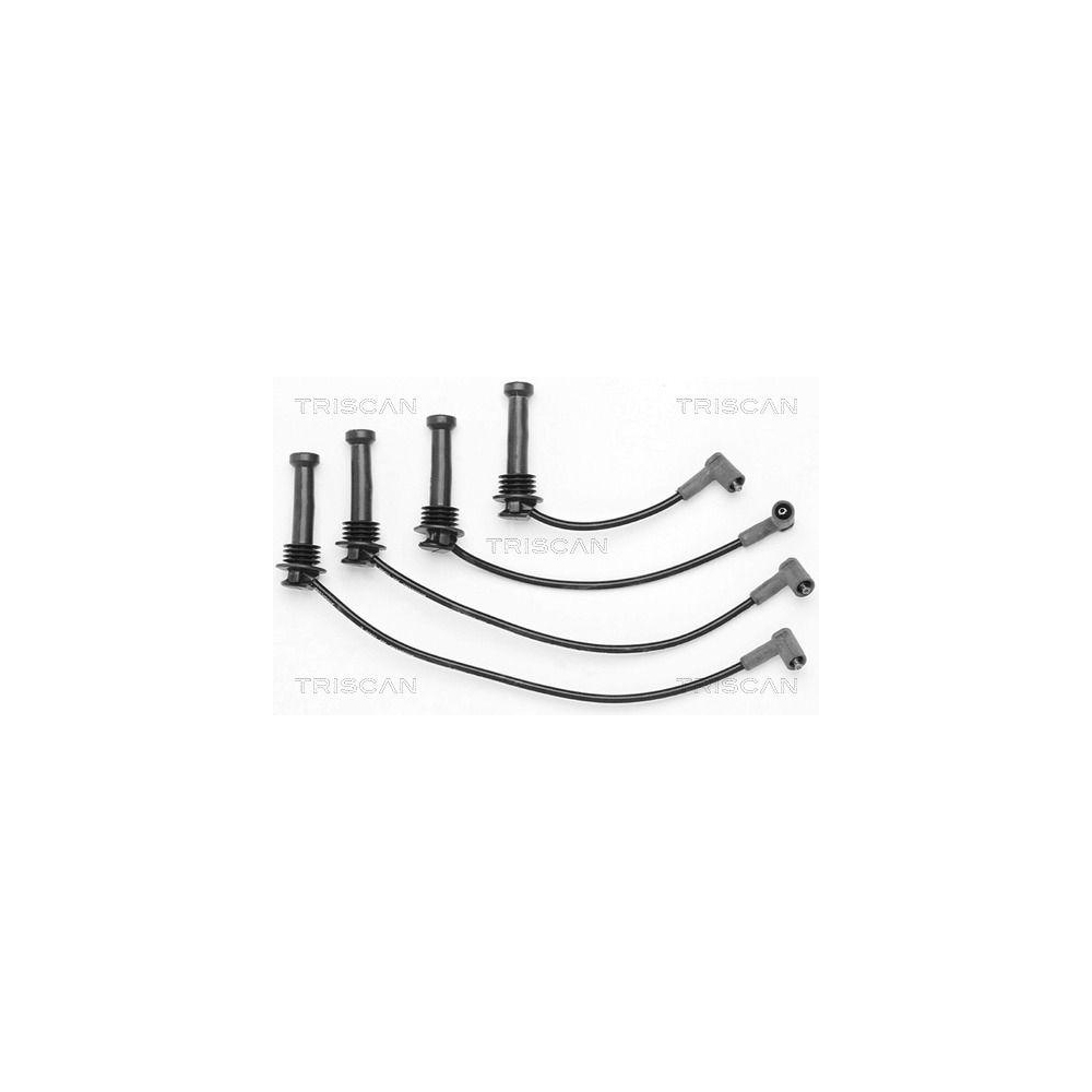 Z&uuml;ndleitungssatz TRISCAN 8860 4178 f&uuml;r