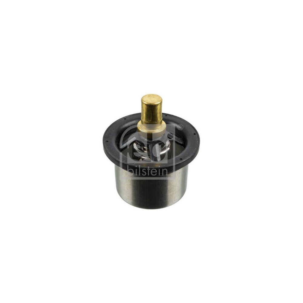 FEBI BILSTEIN Thermostat, K&uuml;hlmittel 173719 f&uuml;r DAF