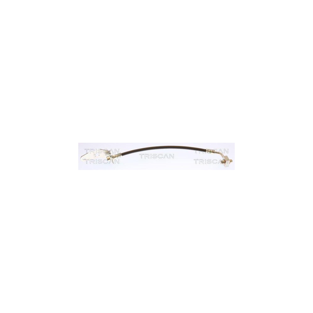 Bremsschlauch TRISCAN 8150 81207 f&uuml;r TESLA, Hinterachse rechts