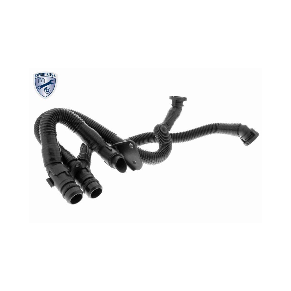 Schlauch, Kurbelgehäuseentlüftung VAICO V10-3503 Original VAICO Qualität für VW