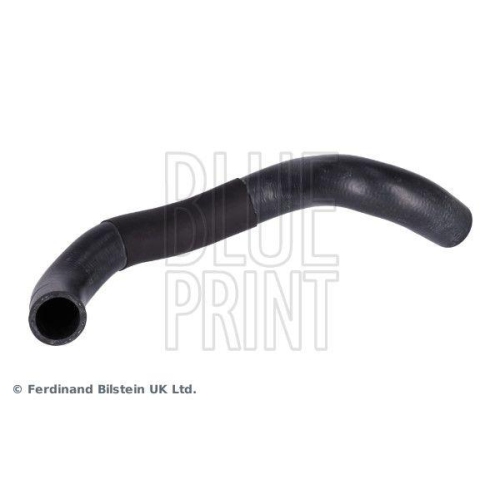 K&uuml;hlerschlauch BLUE PRINT ADBP930010 f&uuml;r TOYOTA LEXUS, unten