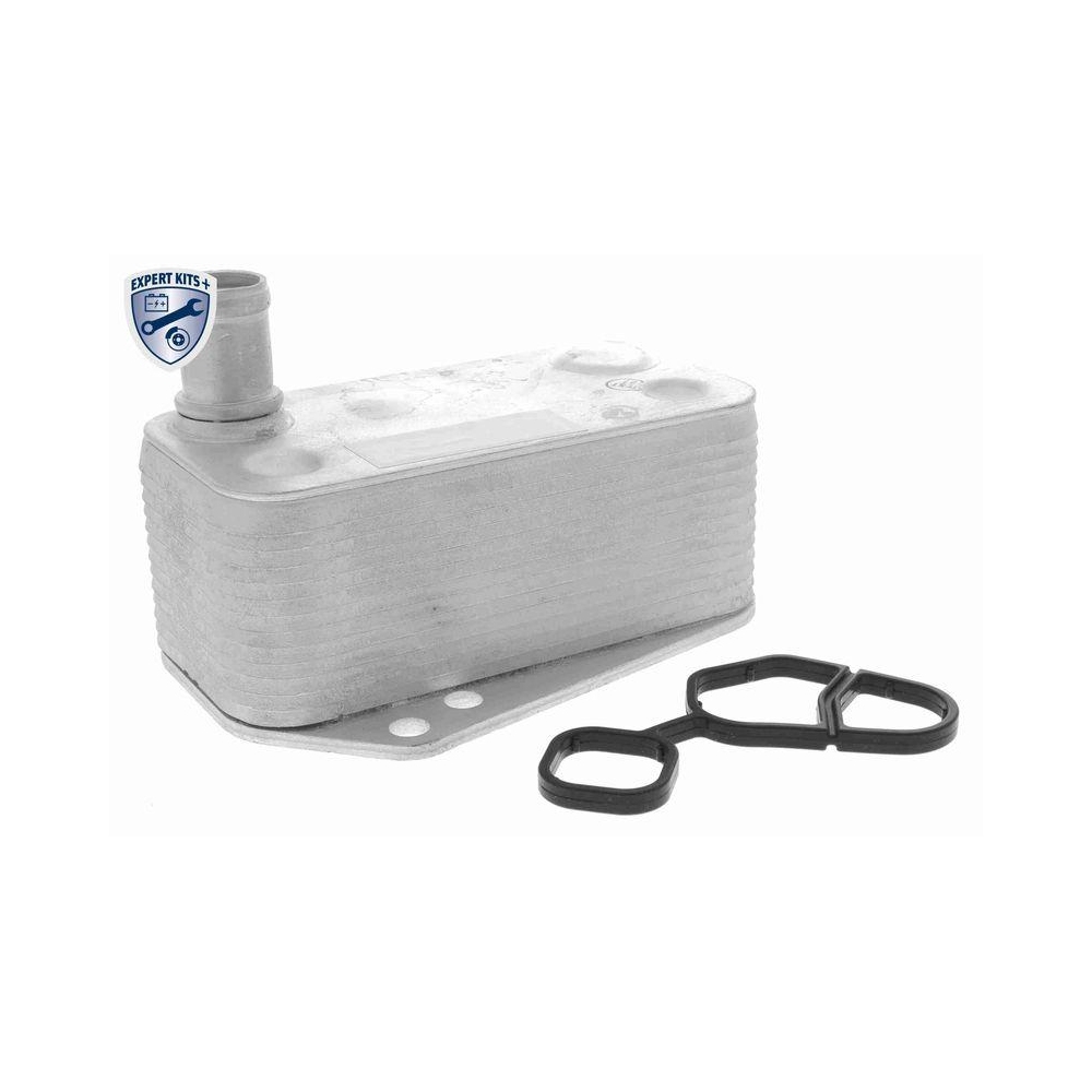 &Ouml;lk&uuml;hler, Motor&ouml;l VEMO V48-60-0023 EXPERT KITS + f&uuml;r BMW LAND ROVER