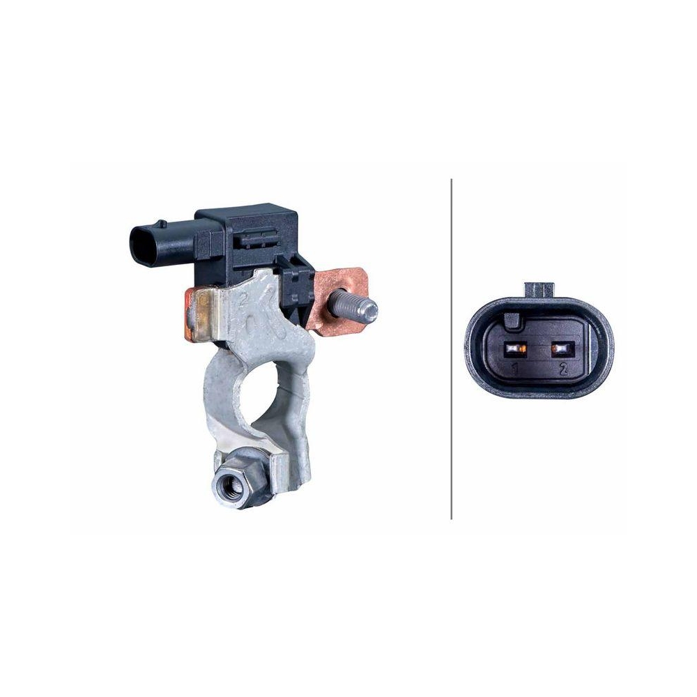 HELLA Sensor, Batteriemanagement 6PK 012 767-491 für GENERAL MOTORS