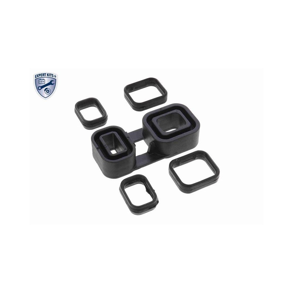 Dichtung, Automatikgetriebe VAICO V20-2647 Original VAICO Qualit&auml;t f&uuml;r BMW