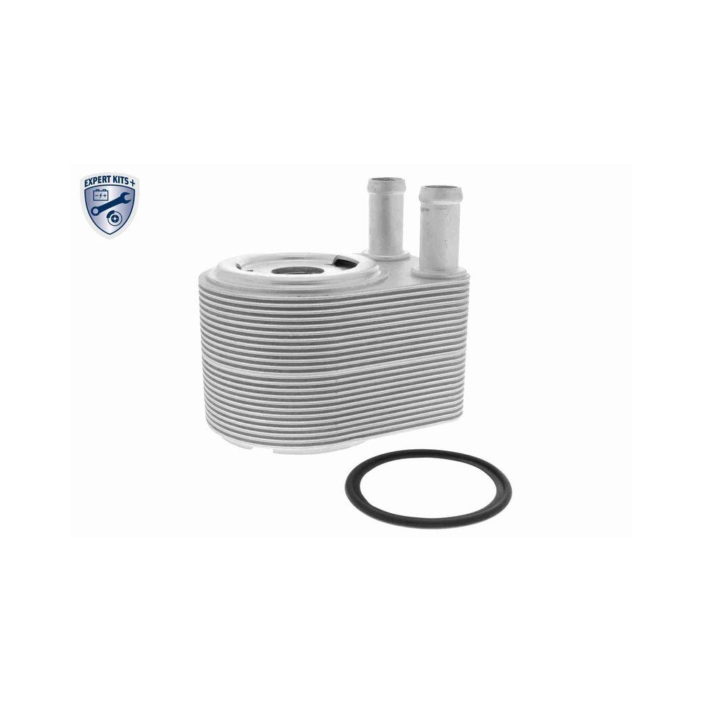 &Ouml;lk&uuml;hler, Motor&ouml;l VEMO V48-60-0028 EXPERT KITS + f&uuml;r LAND ROVER